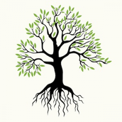 Free Tree Roots Cliparts, Download Free Clip Art, Free Clip ...