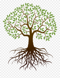 Old Drawing Apple Tree - Tree With Roots Png Clipart (#2802 ...