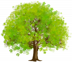 HQ Tree Clipart PNG Transparent Tree Clipart.PNG Images. | PlusPNG