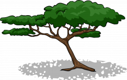 Image - Acacia Tree sprite 002.png | Club Penguin Wiki | FANDOM ...