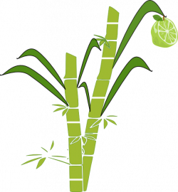 28+ Collection of Sugar Cane Clipart | High quality, free cliparts ...