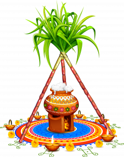 Sugarcane Clip art - Yellow simple sugar cane vase 2501*3179 ...