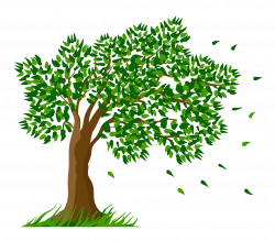 Tree Transparent Clipart Picture | Gallery Yopriceville - High ...