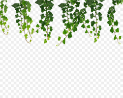 Family Tree Background clipart - Vine, Leaf, Tree ...