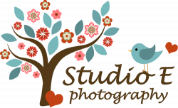 Weddings — Studio E Photography