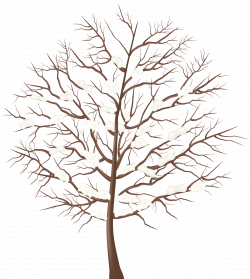 Winter Tree Transparent PNG Clip Art Image | Gallery Yopriceville ...