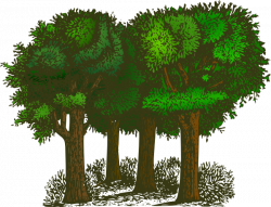 Group Of Trees Clipart