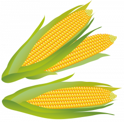 Ear Of Corn Clipart Group (56+)