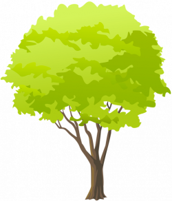 Green Tree PNG Clip Art | Gallery Yopriceville - High-Quality ...