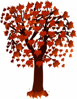 Maple Tree with Leaves | Isolated Stock Photo by noBACKS.com