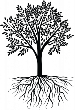 Tree Vector Black White | design | Pinterest | Scrapbooks