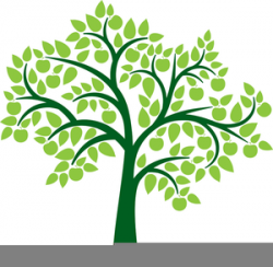 Family Reunion Clipart Trees | Free Images at Clker.com ...