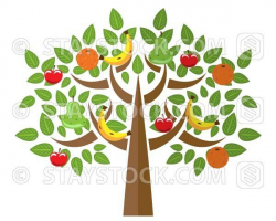 Fruit Tree | STAYSTOCK | Fruit trees, Types of fruit, Tree ...
