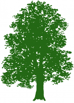 32 Tree Clipart - Tree Images Free! - The Graphics Fairy