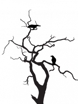 trees silhouette png - Google Search | Paper | Pinterest | Tree ...