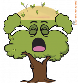 Tree of Knowledge (blog) - Princeton Tree Care