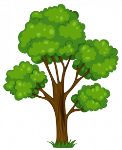 Build A Tree Craft | District of Columbia Public Library