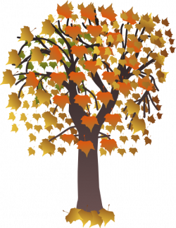 Tree Clipart | Maple Tree clip art - vector clip art online ...