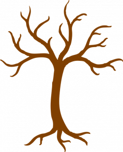 Black Tree Outline#4329298 - Shop of Clipart Library