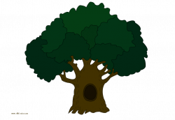oak tree raster picture