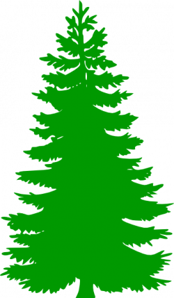 Free Pine Tree Clipart, Download Free Clip Art, Free Clip ...