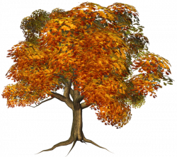 Large Fall Tree Clipart | Tree Art | Pinterest | Tree clipart and ...