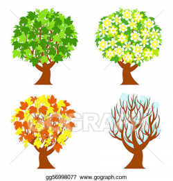 Vector Art - four seasons trees. Clipart Drawing gg56998077 ...
