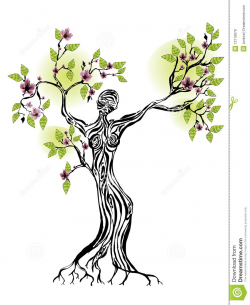female silhouette tree of life | Spring Tree With Women ...