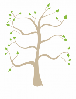 Family Tree Related Keywords Png Images Clipart - Family ...