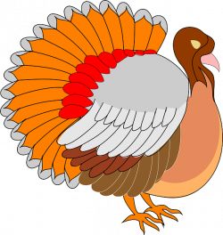 Soccer clipart turkey - Pencil and in color soccer clipart turkey