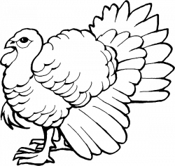 Coloring Pages: Turkey Coloring Pages Free and Printable