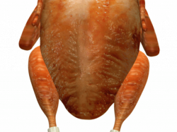 Dead Turkey Clipart 12 - 1024 X 1044 | carwad.net