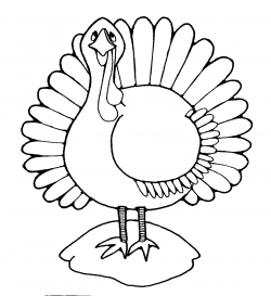 Free Turkey Drawing Cliparts, Download Free Clip Art, Free ...