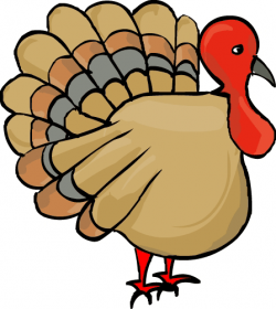 Download Turkey Clip Art ~ Free Clipart of Turkeys & More!