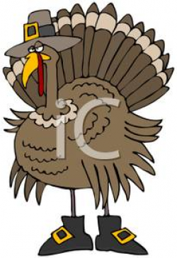 Clipart Image: A Turkey Wearing a Pilgrim Hat and Shoes