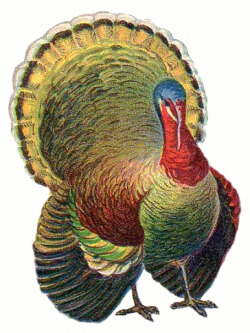 Free Turkey Clipart | thanksgiving dinner in 2019 ...