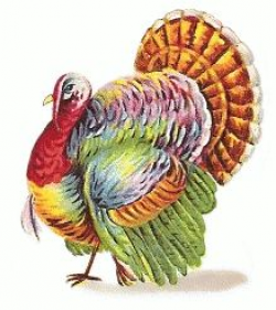 Free Watercolor Turkey Cliparts, Download Free Clip Art ...