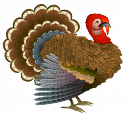 Turkey PNG Clipart | Gallery Yopriceville - High-Quality Images and ...