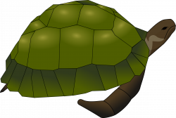 Clipart - turtle