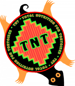 TNT Total Nutrition for Tortoises 8 ounces Free Shipping ! TNT Total ...