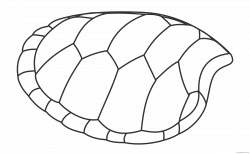 Turtle Outline Clipart - ClipartBlack.com