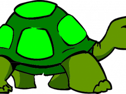 Turtle Clipart body 1 - 600 X 317 Free Clip Art stock ...