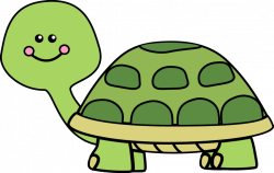 Eastern box turtle Box turtles Clip art - turtle 1024*651 transprent ...