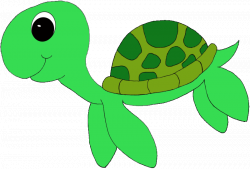 Free Download Turtle Clipart Images【2018】