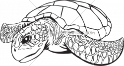 Turtle Line Drawing at GetDrawings.com | Free for personal use ...
