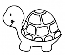 Turtle Drawings with elsie s turtle lineart by mayberry27 ...