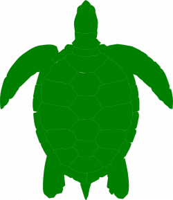 Free Printable Turtle Clipart (63+)
