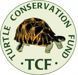 Turtle Conservancy — Turtles in Trouble