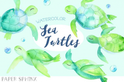 Watercolor Sea Turtle Clipart - Baby Sea Turtle Art - Blue and Green -  Nursery Art - Instant Download PNG Files