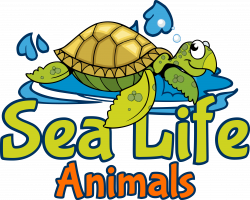 Cotton Linen Pillow Case - Sea Turtle – Sea Life Animals